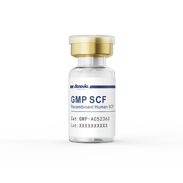 GMP-SCF（GMP-AC52363）