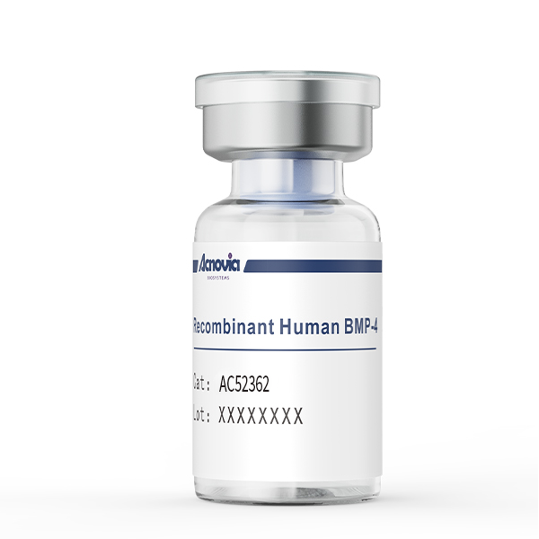  Recombinant Human BMP4（AC52362）