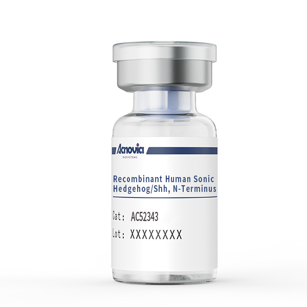  Recombinant Human Sonic Hedgehog/Shh, N-Terminus（AC52343）