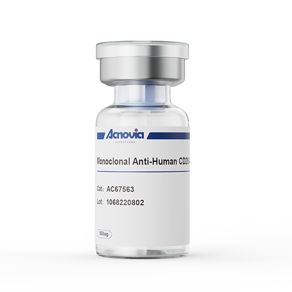 anti-CD28（AC67563）